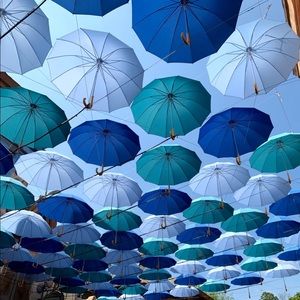 Meet your Posher, Trina